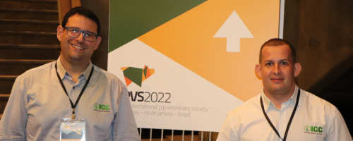 IPVS2022 1 1