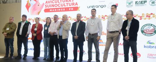 feira maringá