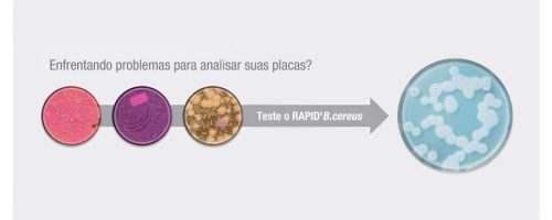 Imagem publicacao RAPIDB.cereus