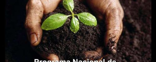 JOVEM-PODE-FINANCIAR-ATe-R-16-5-MIL-PELO-PRONAF-VEJA-16-10-2019