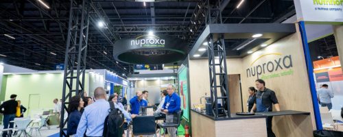 LuckFilmes-58