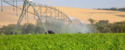 agricultura irrigada