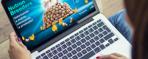 Novo conteúdo post bege minimalista azul para ebook