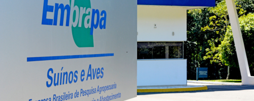 PORTAL FF - CAPA AJUSTE (H) - 2025-06-26T120019.568