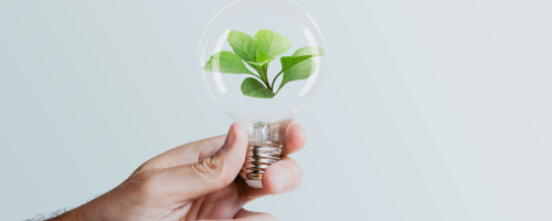 sustentabilidade