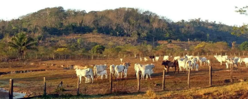 Marcelo Casal Jr/Agência Brasil