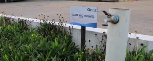 Programa ciclos
