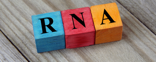 RNA
