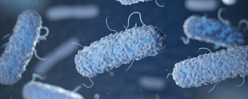 Enterobacterias. Gram-negative bacterias escherichia coli, salmonella, klebsiella, legionella, mycobacterium tuberculosis, yersinia pestis,  and shigella, proteus, enterobacter, serratia, and citrobacter. 3d illustration