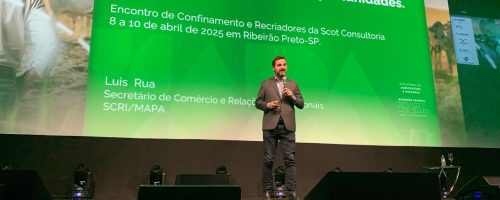 LUIS RUA MAPA
