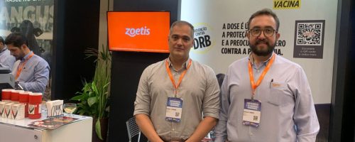 ZOETIS ECR SCOT CONSULTORIA