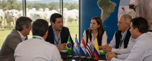 acnb articula rede latino americana