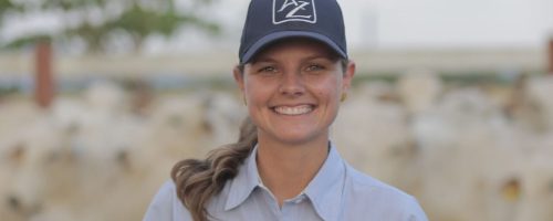 adriane zart e o nada nas maos agrotalento 2