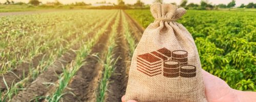 agriculture
