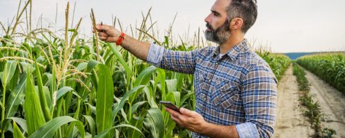 Agronomist