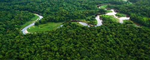 amazonia1