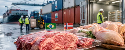 brasil x noruega (2)