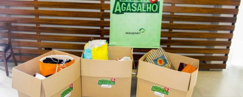 campanha do agasalho nucleovet