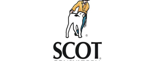 capa (25)