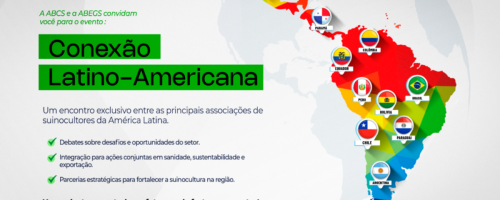 capa_MM (6)