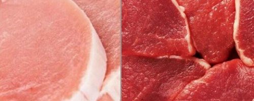 carne-2