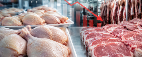 carne de frango perde quase 70% de competitividade