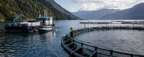chile amplia exigências por insumos rastreáveis