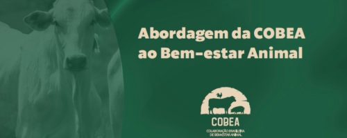 cobea capa