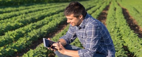 conectividade no campo