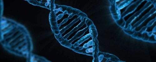 dna-163466_1280