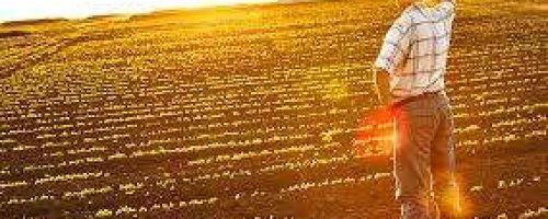 CAMPO-AGRO