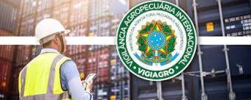 download - 2021-01-08T154138.625