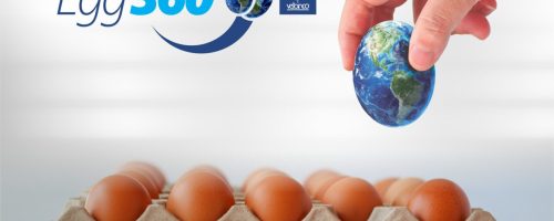 egg360_vetanco