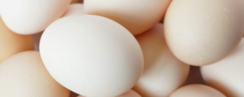 eggs