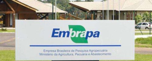 Embrapa gerou lucro social de quase R$ 62 bilhões no último ano