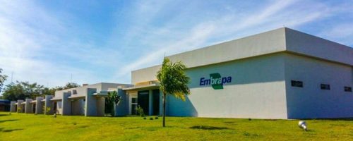 embrapa
