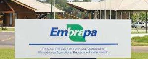 embrapa