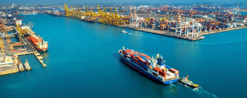 exportação