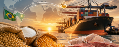 exportações brasileiras ao golfo voltam a crescer