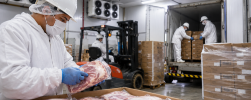 exportações de carne suína avançam 9% (2)