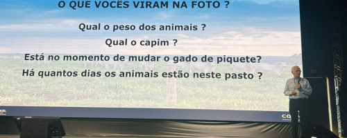 feedlot pastejo