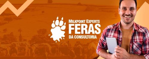 ferasdaconsultoria