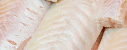 file de peixe