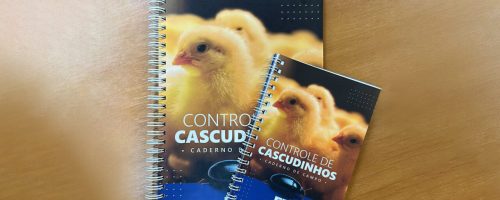 REPRODUÇÃO