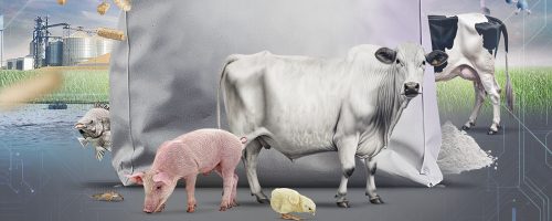 imagem_capa_1200x600