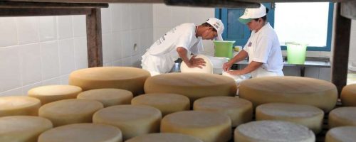 Queijo