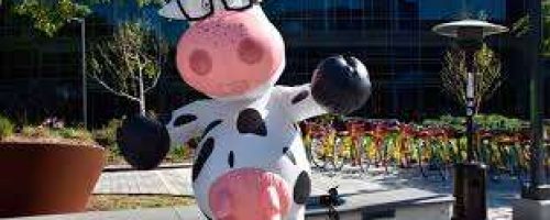 images (35)