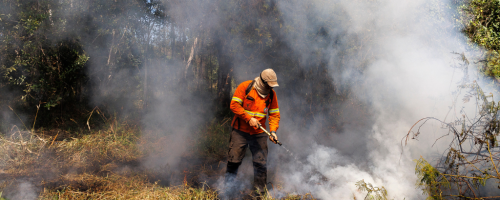 incendios