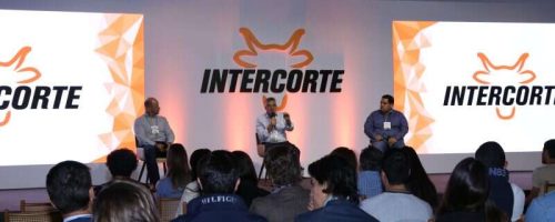 intercorte
