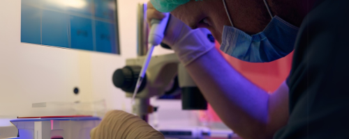 lab